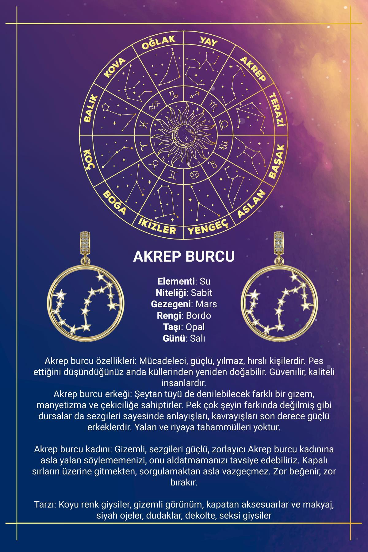 14 Ayar Altın Akrep Burcu Kolye Ucu Burç Yıldız Haritası - Görsel 5