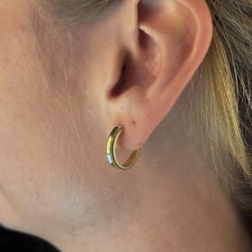 14 Ayar Altın Işıltılı Halka Küpe 4