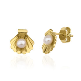 14 Ayar Altın İstiridye İncili Küpe