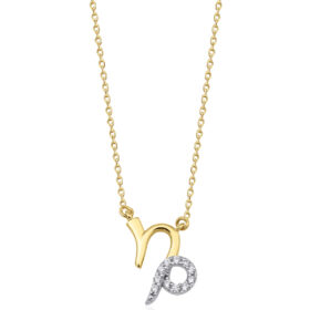 14 Ayar Altın Oğlak Burcu Kolye